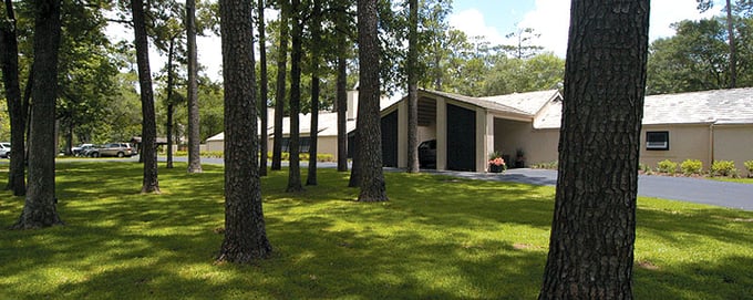 The Forest Club at Saddlebrook