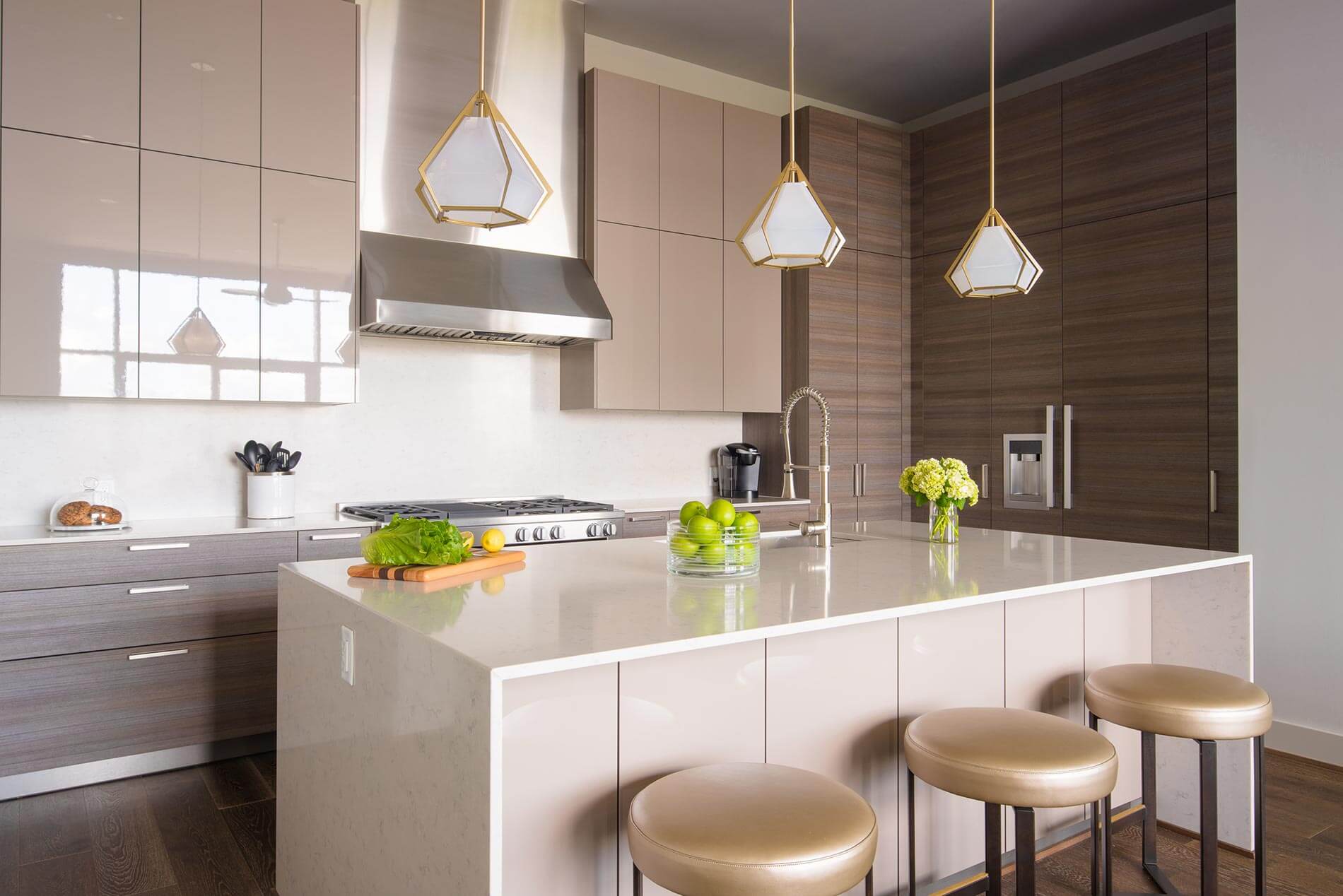 luxury condo kitchen