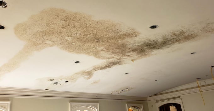 ceiling mold