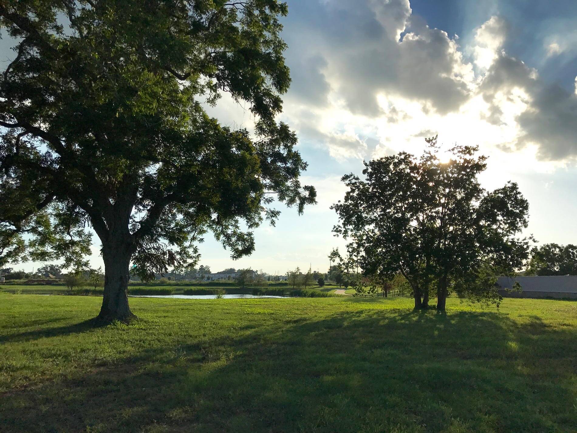 green trees at the riverstone